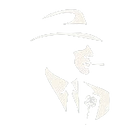 Tasnádi Péter webshop